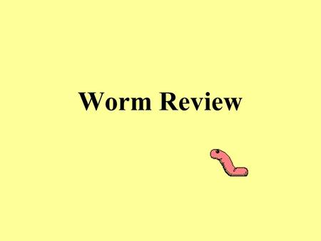 Worm Review.