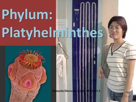 ., Phylum: Platyhelminthes Parasite Monster Inside Me Part 2.