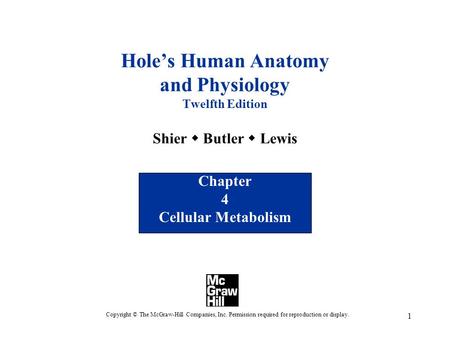 Chapter 4 Cellular Metabolism