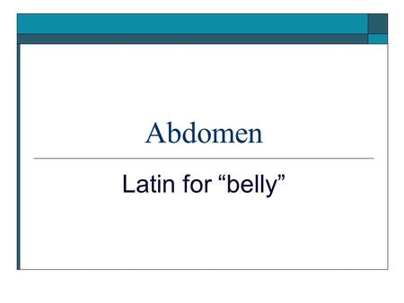 Abdomen Latin for “belly”. Abdomen  Anatomy  Injuries  Evaluation.