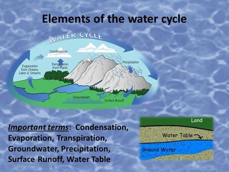 Elements of the water cycle Important terms: Condensation, Evaporation, Transpiration, Groundwater, Precipitation, Surface Runoff, Water Table.