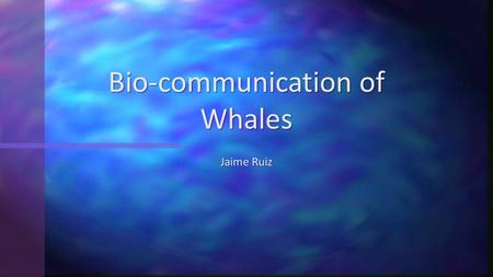 Jaime Ruiz Bio-communication of Whales. A whale song is the creation of a pattern predictable of sounds made by a whale (some species of baleen whales)