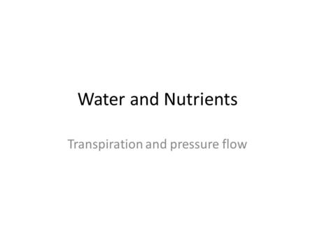 Transpiration and pressure flow