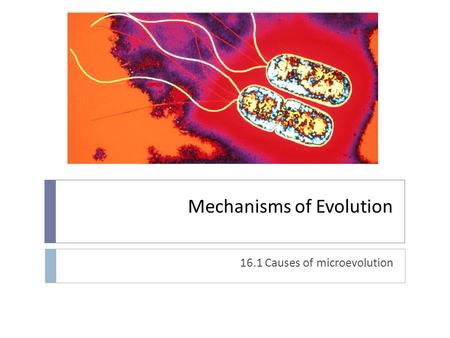 Mechanisms of Evolution 16.1 Causes of microevolution.