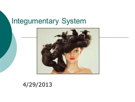 Integumentary System 4/29/2013. Integumentary System  Skin-Epidermis, Dermis, Hypodermis  Nails-Nail Roots, Keratin in Nails  Hair-Hair Follicles,