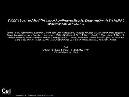 DICER1 Loss and Alu RNA Induce Age-Related Macular Degeneration via the NLRP3 Inflammasome and MyD88 Valeria Tarallo, Yoshio Hirano, Bradley D. Gelfand,