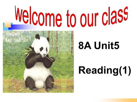 8A Unit5 Reading(1) 学习目标 1. 阅读有关大熊猫的文章, 从上下 文猜测文章大意。 2. 学习新单词, 了解大熊猫的成长 过程及保护大熊猫的一些措施。 3. 通过文章学习来增强我们保护野 生动物的意识。