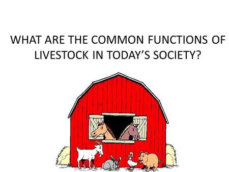 WHAT ARE THE COMMON FUNCTIONS OF LIVESTOCK IN TODAY’S SOCIETY?