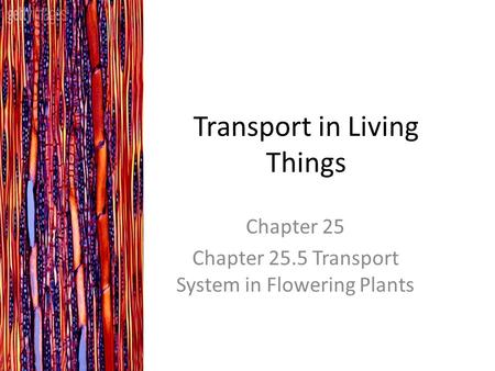 Transport in Living Things