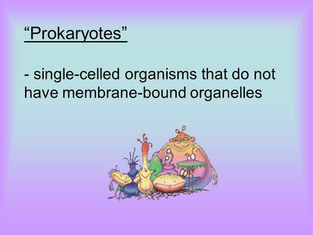 “Prokaryotes” - single-celled organisms that do not have membrane-bound organelles.