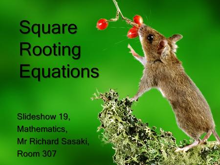 Square Rooting Equations Slideshow 19, Mathematics, Mr Richard Sasaki, Room 307.