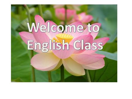 Introduction Md: AZIZUL HAQUE SHAH ASST,TEACHER (English) BELTOLI GIRLS HIGH SCHOOL CHIRIRBANDAR, DINAJPUR Class:Eight Sub: English first Paper Time:45.
