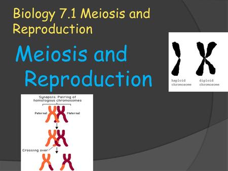 Biology 7.1 Meiosis and Reproduction Meiosis and Reproduction.