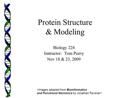 Protein Structure & Modeling Biology 224 Instructor: Tom Peavy Nov 18 & 23, 2009 