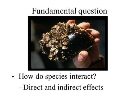 Fundamental question How do species interact? –Direct and indirect effects.