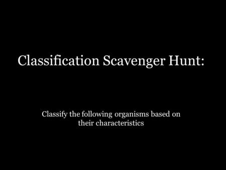 Classification Scavenger Hunt: