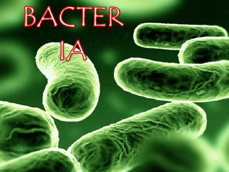 Bacteria are Prokaryotes Kingdom Bacteria Bacteria are ubiquitous – located everywhere! air, water, land, and living organisms including people. General.