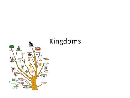 Kingdoms. Two types of cells Prokaryote- Any of the group of organisms primarily characterized by the lack of true nucleus and possessing only a few organelles,