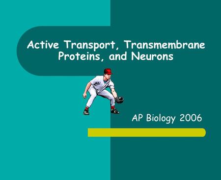 Active Transport, Transmembrane Proteins, and Neurons AP Biology 2006.