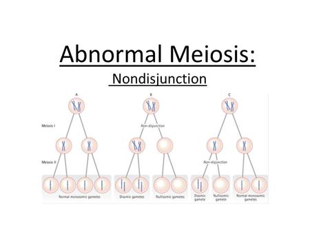 Abnormal Meiosis: Nondisjunction.