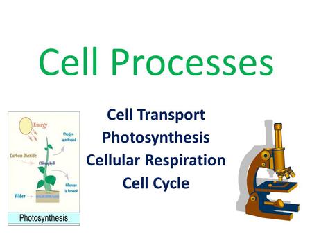 Cell Processes Cell Transport Photosynthesis Cellular Respiration Cell Cycle.