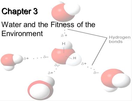 Chapter 3 Water and the Fitness of the Environment.