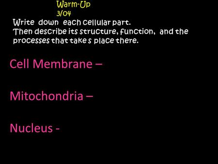 Warm-Up 3/04 Write down each cellular part. Then describe its structure, function, and the processes that take s place there. Cell Membrane – Mitochondria.