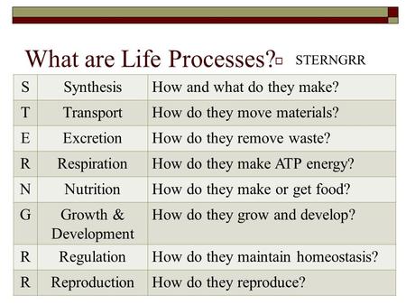 What are Life Processes?