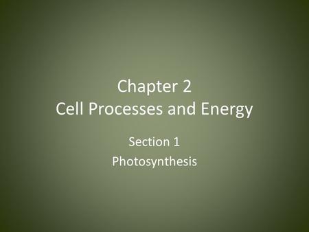 Chapter 2 Cell Processes and Energy