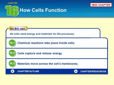 How Cells Function CHAPTER the BIG idea CHAPTER OUTLINE All cells need energy and materials for life processes. Chemical reactions take place inside cells.