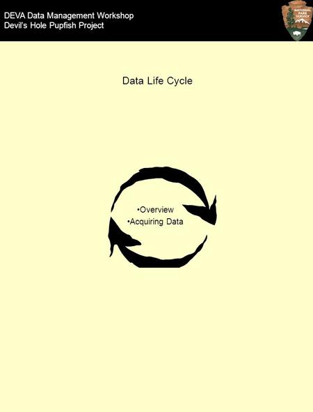 Overview Acquiring Data DEVA Data Management Workshop Devil’s Hole Pupfish Project Data Life Cycle.