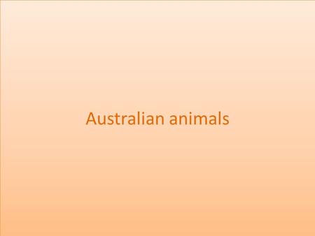 Australian animals.