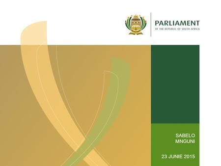 SABELO MNGUNI 23 JUNIE 2015. COMMITTEES SECTION POLICY PARAMETRES FOR HUMAN SETTLEMENTS.