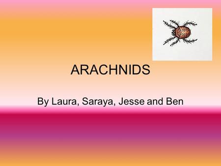 ARACHNIDS By Laura, Saraya, Jesse and Ben. Arachnid animals Spiders Scorpions Ticks Mites.
