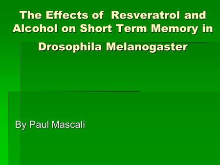 The Effects of Resveratrol and Alcohol on Short Term Memory in Drosophila Melanogaster By Paul Mascali.