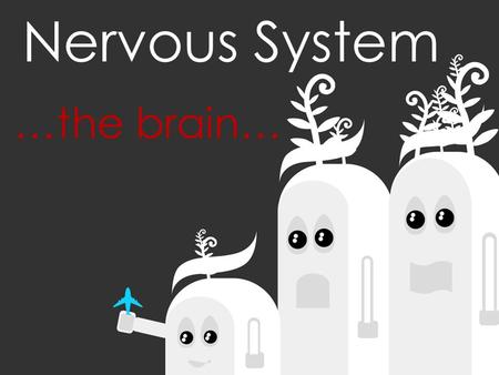 Nervous System …the brain…. Nervous System …the brain… Section of the brain SubsectionSizeFunction Brain Stem Medulla oblongata3cm -Cardiac Centre (heart.