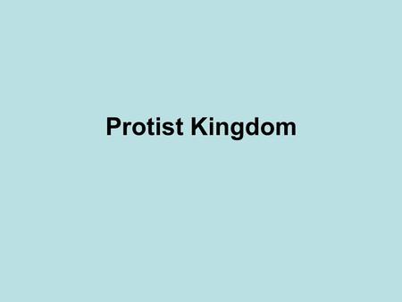 Protist Kingdom.