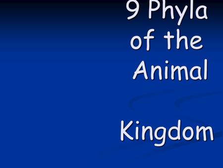 9 Phyla of the Animal Kingdom. Common Animal Characteristics Multicellular (many cells) Multicellular (many cells) Eukaryotic (cells contain nucleus)