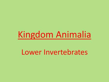 Kingdom Animalia Lower Invertebrates.