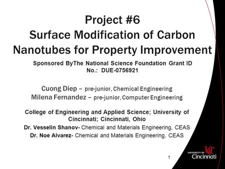 Project #6 Surface Modification of Carbon Nanotubes for Property Improvement Cuong Diep – pre-junior, Chemical Engineering Milena Fernandez – pre-junior,