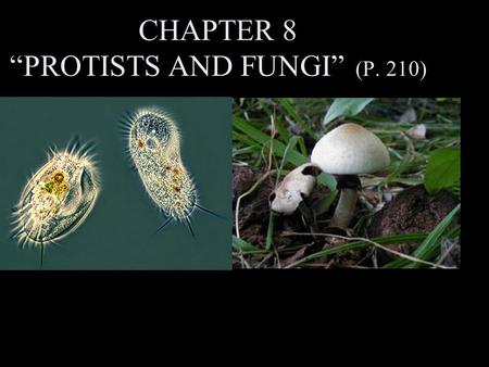 CHAPTER 8 “PROTISTS AND FUNGI” (P. 210)