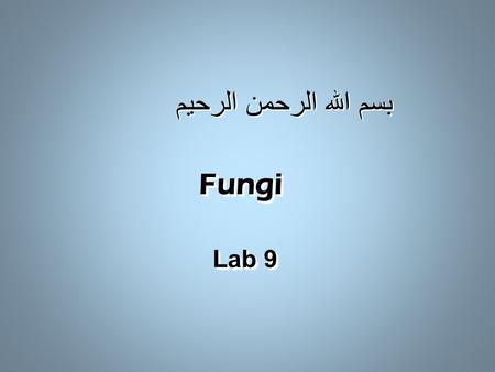 بسم الله الرحمن الرحيم Fungi Fungi Lab 9 Fungi Fungi Lab 9.