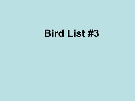 Bird List #3. American Kestral Common Grackle American Bittern.