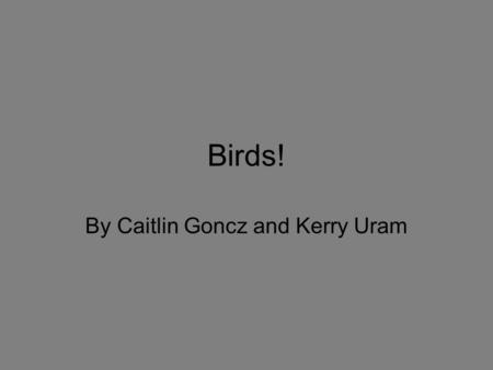 Birds! By Caitlin Goncz and Kerry Uram. Screech Owl.