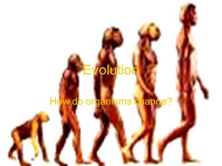 Evolution How do organisms change?. Some basic ideas Evolution is the change in characteristics of a species over time Remember a species is a group of.
