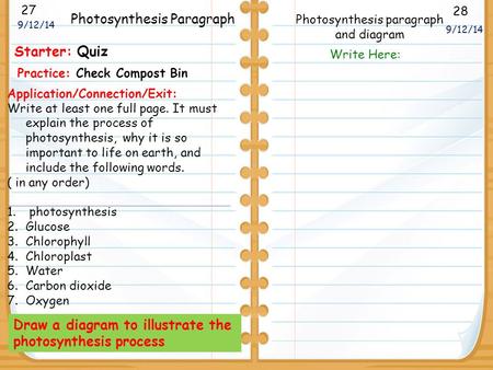 Photosynthesis paragraph and diagram