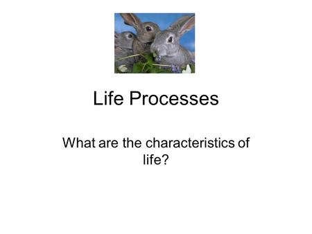 Life Processes What are the characteristics of life?