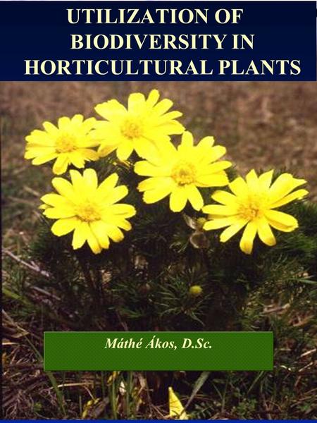 UTILIZATION OF BIODIVERSITY IN HORTICULTURAL PLANTS Máthé Ákos, D.Sc.