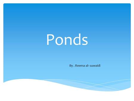 Ponds By. Reema al- suwaidi.  The world biomes are Tundra, Ponds, Savanna, Rainforest, Alpine, Chaparral, Taiga and Grasslands. The Worlds Biomes.