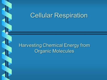 Cellular Respiration Harvesting Chemical Energy from Organic Molecules.